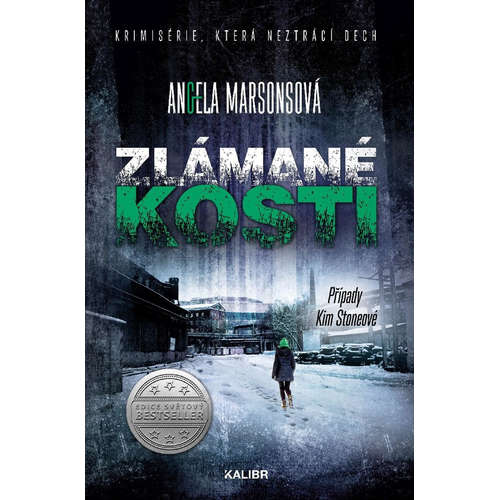 E-kniha Zlámané kosti - Angela Marsonsová -
