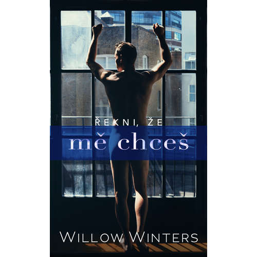 E-kniha Řekni, že mě chceš - Willow Winters - 