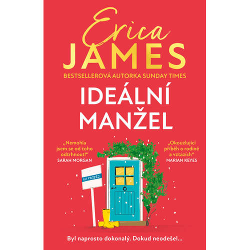 E-kniha Ideální manžel - Erica James - 
