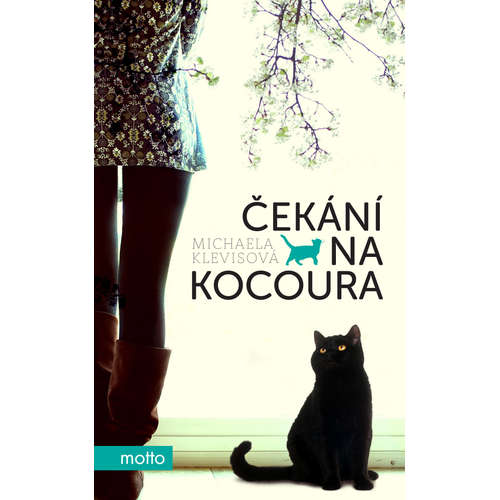 E-kniha Čekání na kocoura - Michaela Klevisová - 
