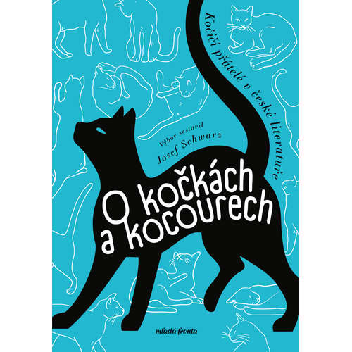E-kniha O kočkách a kocourech - kolektiv - 