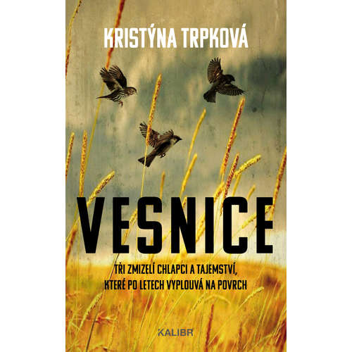 E-kniha Vesnice - Kristýna Trpková - 
