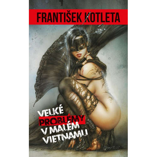 E-kniha Velké problémy v Malém Vietnamu - František Kotleta - 