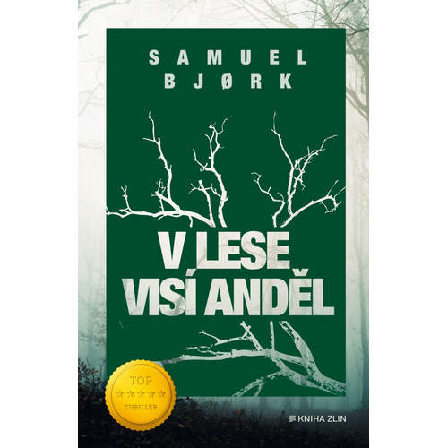 E-kniha V lese visí anděl - Samuel Bjork - 