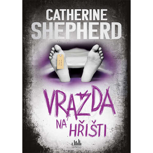 E-kniha Vražda na hřišti - Catherine Shepherd - 