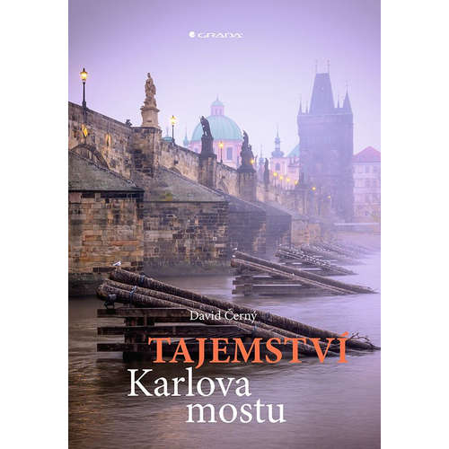 E-kniha Tajemství Karlova mostu - David Černý -