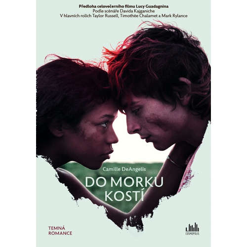 E-kniha Do morku kostí - Camille DeAngelis - 
