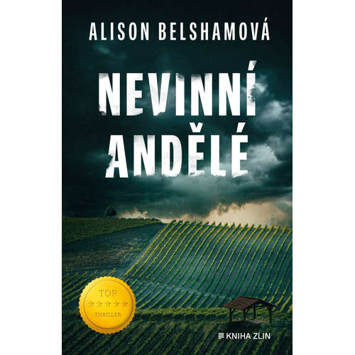E-kniha Nevinní andělé - Alison Belshamová - 