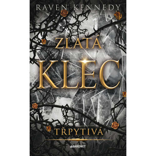 E-kniha Třpytivá - Raven Kennedy -