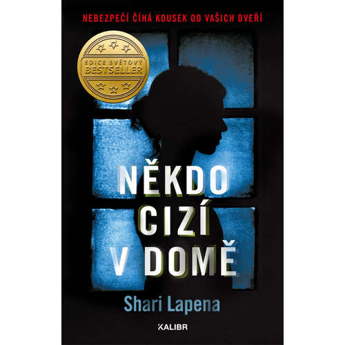E-kniha Někdo cizí v domě - Shari Lapena - 