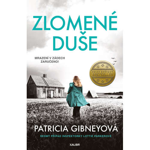 E-kniha Inspektorka Lottie Parkerová 7: Zlomené duše - Patricia Gibneyová - 