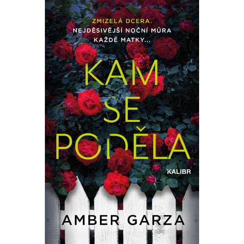 E-kniha Kam se poděla - Amber Garza - 