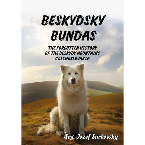 E-Book Beskydsky bundas - Jozef Šurkovský - 