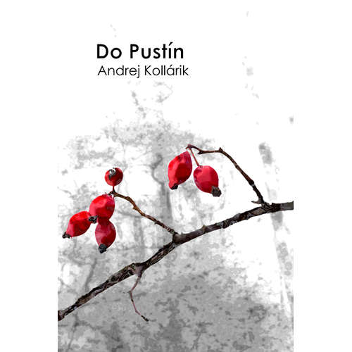 E-kniha Do Pustín - Andrej Kollárik -