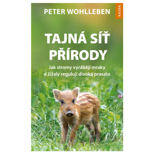 E-kniha Tajná síť přírody - Peter Wohlleben - 