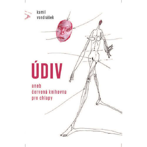 E-kniha Údiv - Kamil Vondrášek - 