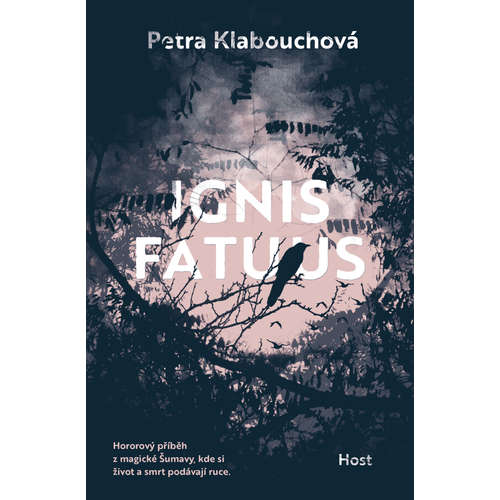E-kniha Ignis fatuus - Petra Klabouchová - 