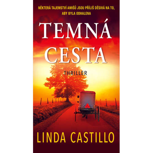 E-kniha Temná cesta - Linda Castillo - 