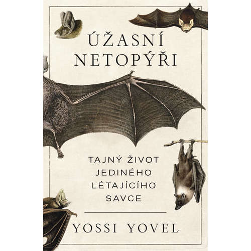 E-kniha Úžasní netopýři - Yosef Yovel - 