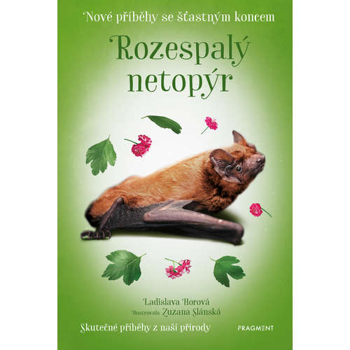 E-kniha Nové příběhy se šťastným koncem – Rozespalý netopýr - Ladislava Horová - 