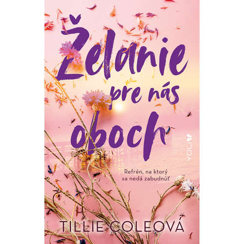 E-kniha Želanie pre nás oboch - Tillie Cole - 