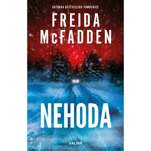 E-kniha Nehoda - Freida McFadden - 