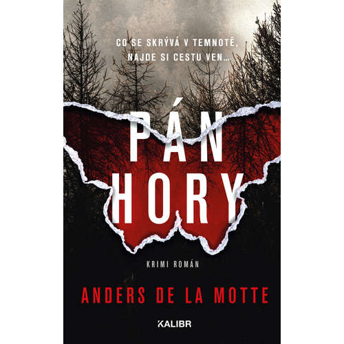 E-kniha Pán hory - Anders de la Motte - 