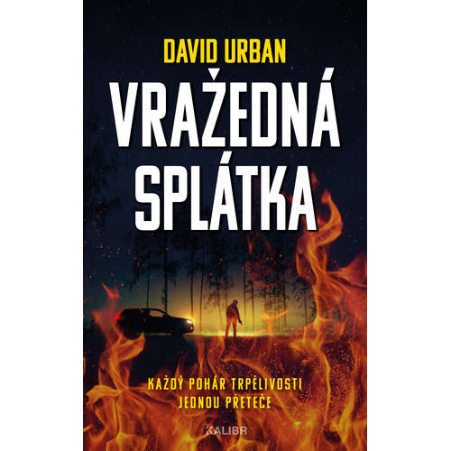 E-kniha Vražedná splátka - David Urban - 