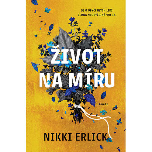 E-kniha Život na míru - Nikki Erlick - 
