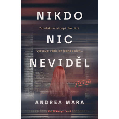 E-kniha Nikdo nic neviděl - Andrea Mara - 